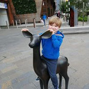 Steven O'Brien's photo