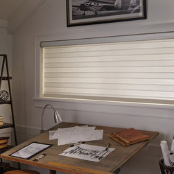 Allure&reg; Transitional Shades - Window Blinds