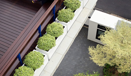7 Steps to Fun and Frugal Urban Gardening