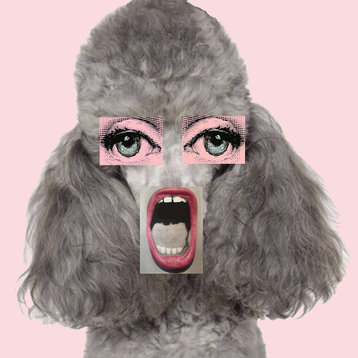 24x24 Pink Poodle Mouth, Unframed Artwork