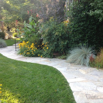 Landscape Design & Installation