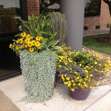 Summer Containers