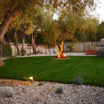 Drought Tolerant Landscape & Mature Olive Trees
