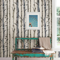 Irvin Gray Birch Tree Wallpaper, Bolt