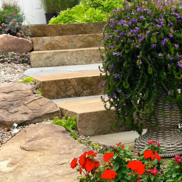 Our Work