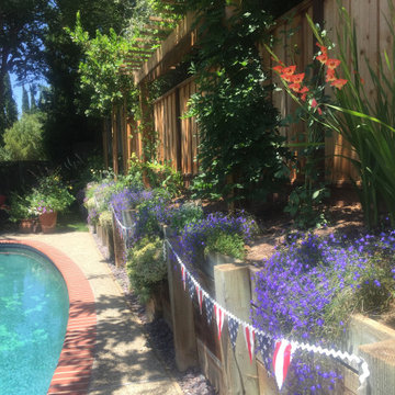 Poolside Privacy One Year Later!
