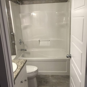 Basement Remodel