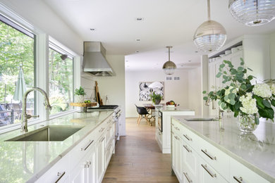 Inspiration for a kitchen remodel in Chicago