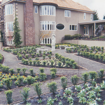 Plants