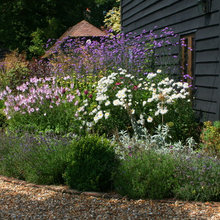 Landscape Ideas