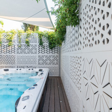 Master Spas- Momentum Swim Spa