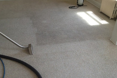 Carpet Cleaning (Pre-treat and Hot water extract)