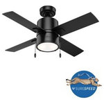 Hunter - Hunter 53433 Beck, 42" Ceiling Fan with Light Kit and Pull Chain, Black - From farmhouse to modern styles, the Beck modern cBeck 42 Inch Ceiling Matte Black Matte Bl *UL Approved: YES Energy Star Qualified: n/a ADA Certified: n/a  *Number of Lights: 2-*Wattage:9w LED bulb(s) *Bulb Included:Yes *Bulb Type:LED *Finish Type:Matte Black