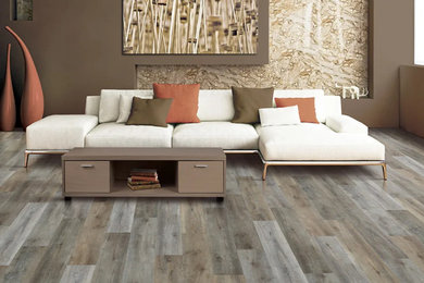 Living room - living room idea in Phoenix