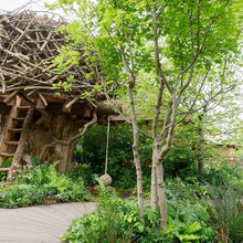 Top Trends From the UK's 2019 RHS Chelsea Flower Show