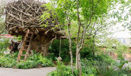 Top Trends From the UK's 2019 RHS Chelsea Flower Show