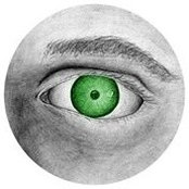 Steven Schoenauer's photo