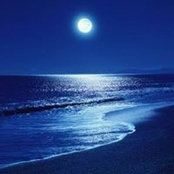 Susan Best's photo