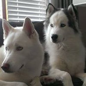 Cathy Burgos's photo