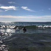 Gail Shore's photo
