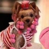 Foto de Beatriz Clare
