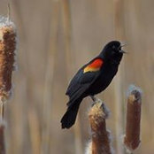 Keri Schultz's photo