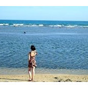 An Xia's photo