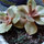 kristen_eaton71