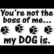 Charles Filano's photo