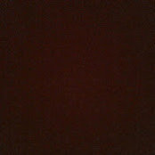 Sean Wolf's photo