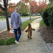 Greg Wilshire's photo