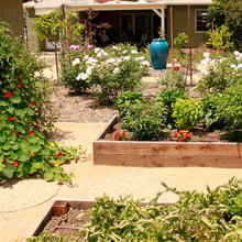 Landscape Ideas
