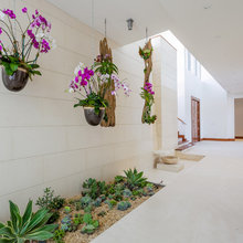 Indoor plant & garden ideas