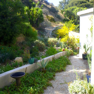 Hollywood Hills California Native Garden Sanctuary