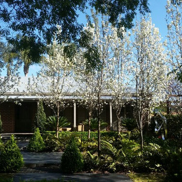Burnside Residence