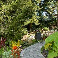 garden outside