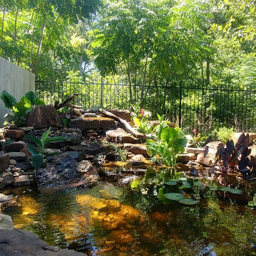 Water Features