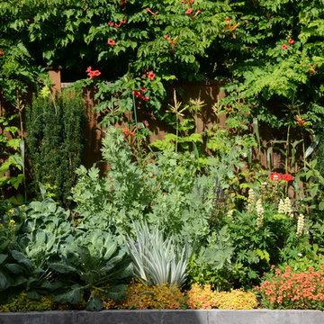 Raised Vegetable Bed / Ornamental Garden 2016