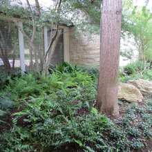 Landscape Ideas