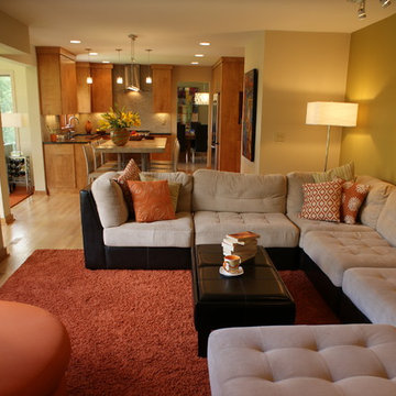 Mendota Heights Modern