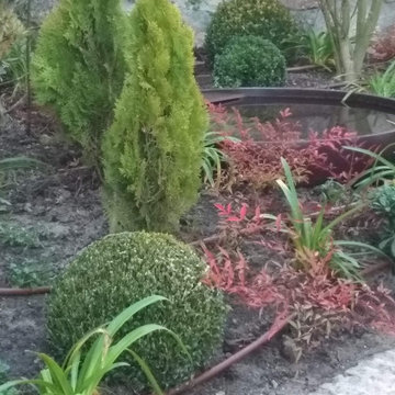 Dando color a viejos jardines