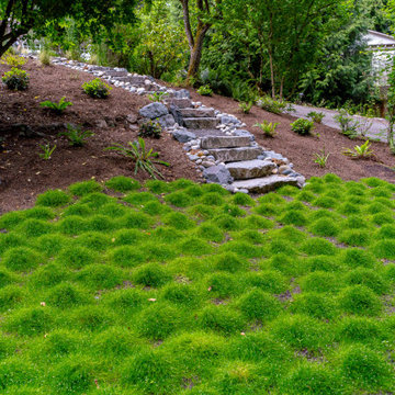 Landscape Over a Septic Field
