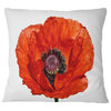 Red Poppy Blossom Close Up Floral Throw Pillow, 16"x16"