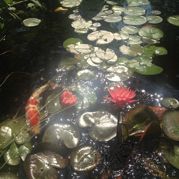 Backyard Pond and Waterfall Projects in York PA - Splash Supply Co