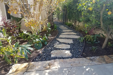 Photo of a mid-sized transitional side yard garden in Orange County.