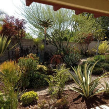 frontyard