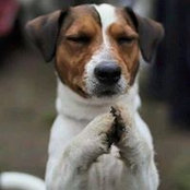 Michele Gibson's photo