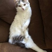 Mary Moose's photo