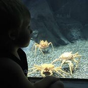 Brandon Buell's photo