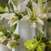 Vicki Vannalath's photo